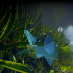 Screenshot 2025-03-03 at 18.21.18 copy