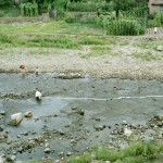 river.gd.1