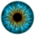 eye-human