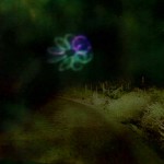 video3