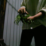 still4