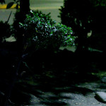 still5
